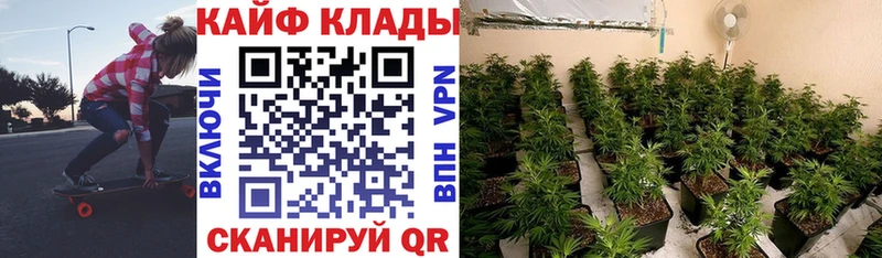 Все наркотики Омск Cocaine Alpha PVP Псилоцибиновые грибы Марихуана Меф ГАШ