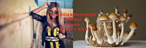 кокс Магадан