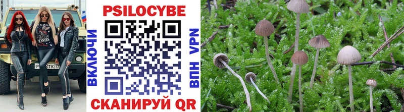 Псилоцибиновые грибы MAGIC MUSHROOMS купить Омск