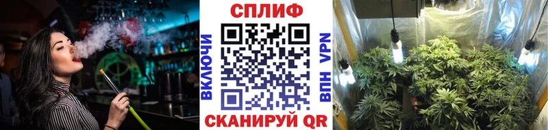 Бошки Шишки MAZAR  Омск 